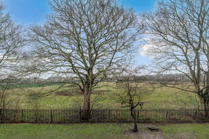 Photo 11- click for photo gallery